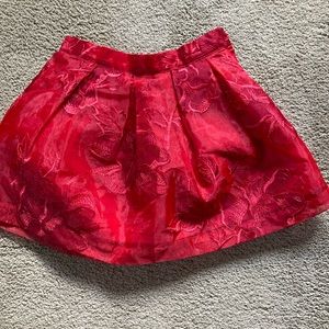 Janie and Jack beautiful holiday skirt.